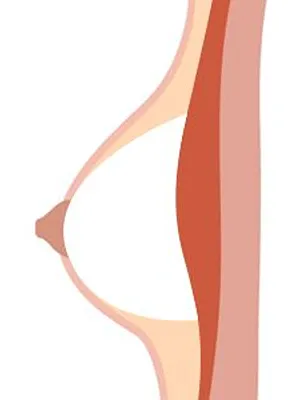 空心 (適中柔軟)